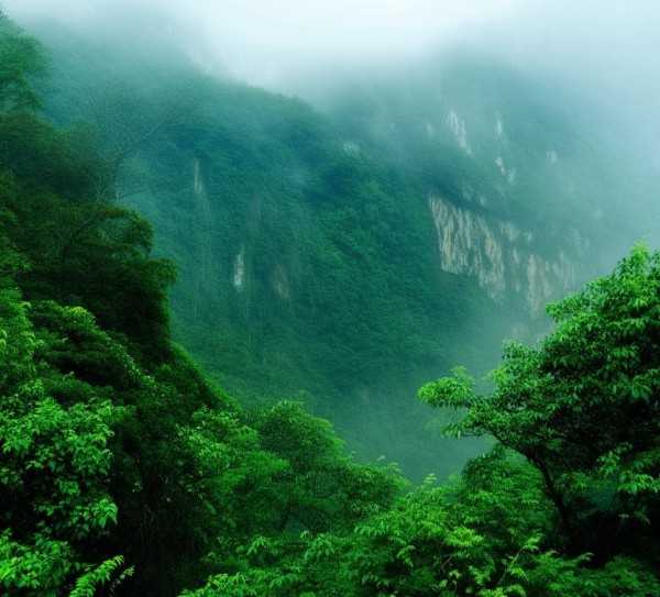井冈山，红色足迹之旅，传承革命精神圣地,井冈山，红色旅游胜地，探寻革命先辈的足迹,旅游,旅游胜地,第1张